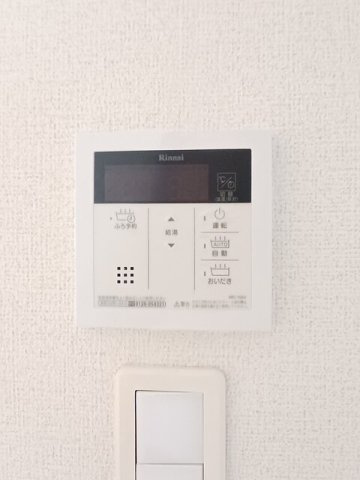 Ａｃｒｏ　ｐｏｌｉｓⅠのその他