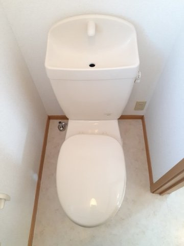 ル・ソレイユⅠのトイレ