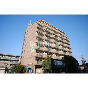 アパートメントハウス朴の樹