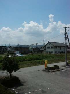 【展望】 | チェリーブラッサムⅢ