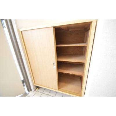 【その他】 | プラトー星 | シューズボックス