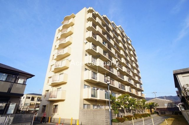 エクセレンス山本の画像