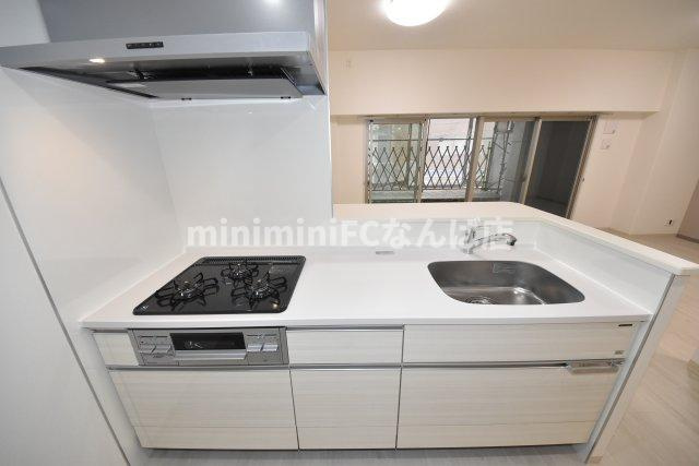 ベルンガーデン上本町のキッチン