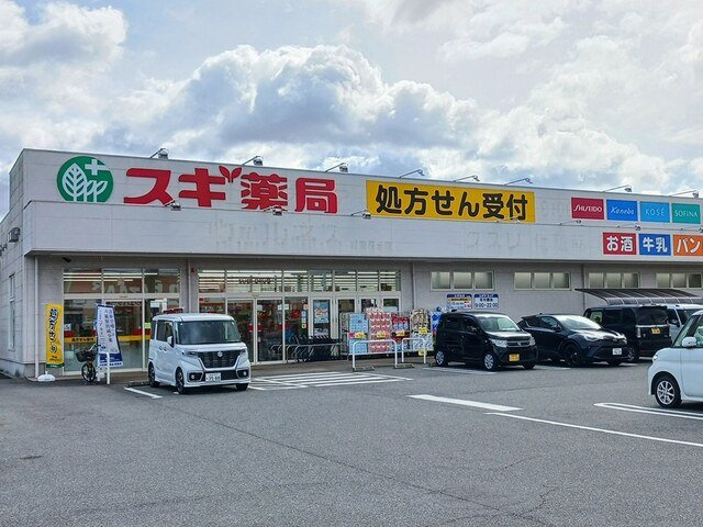 サニーヴィレッジの周辺|スギドラッグまで450m