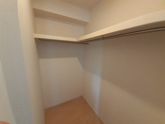 ヴィオラの収納