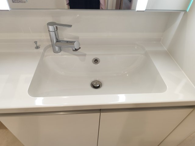 セレスティア新小岩の洗面所