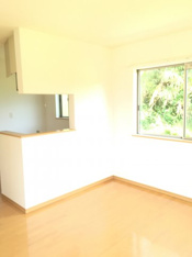 カウターキッチン