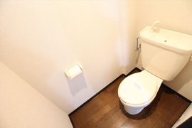 落ち着いた色調のトイレです