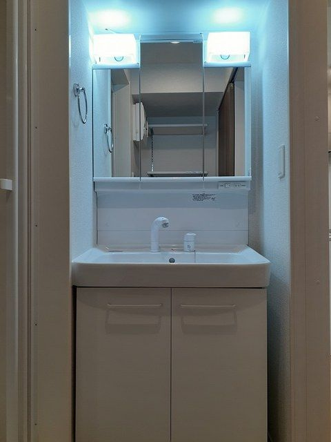 フェリス　ルガール　Ⅱの洗面所