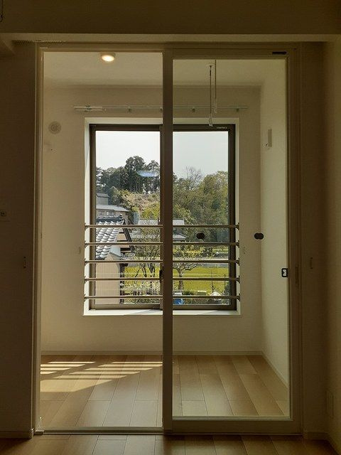 フェリス　ルガール　Ⅰのその他