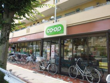 トクラハウスＢ|コープ国分寺店まで525m