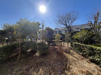 【庭】 | 藤和ライブタウンひばりヶ丘　1階 | 広々とした庭が広がります。趣味を楽しむ場所になりそうですね。