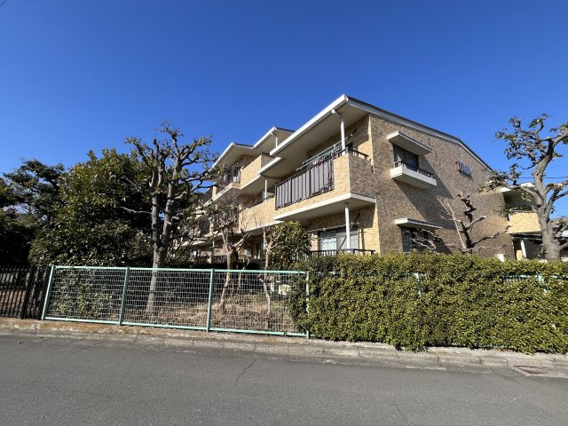 藤和ライブタウンひばりヶ丘　1階