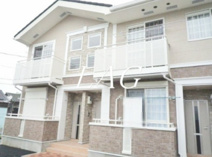 プリムローズの画像