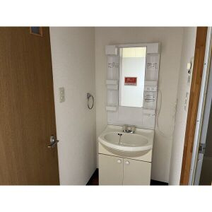 Surplusセブンの洗面所