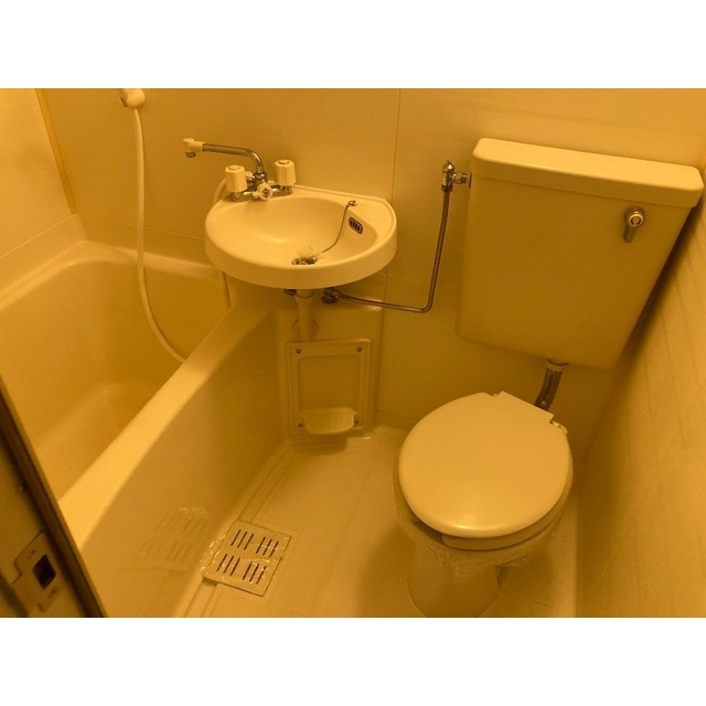 Ｄｒｅａｍ新狭山のトイレ|清潔感のあるトイレです