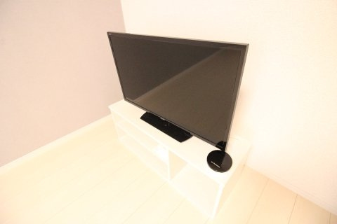 クレイノコキアのその他