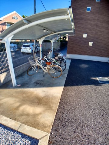 クレイノコキアのその他