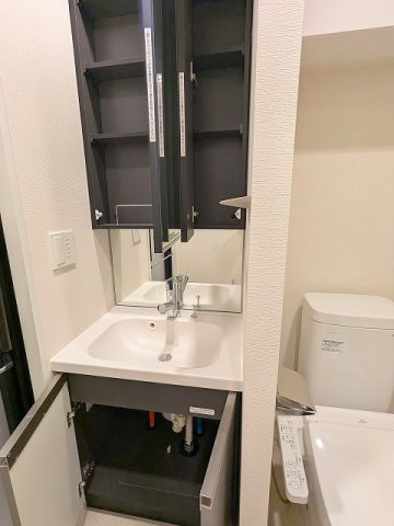 geo ent上野稲荷町の設備|独立洗面脱衣室に洗濯機置場あります、2面鏡付ハンドシャワー付洗面台です
