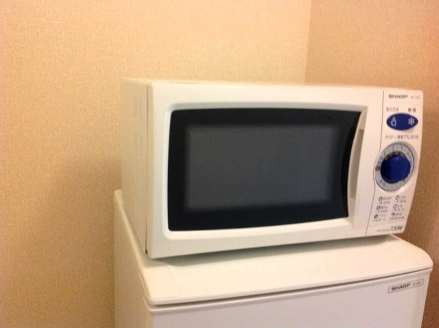 レオネクストシエナのその他|電子レンジ