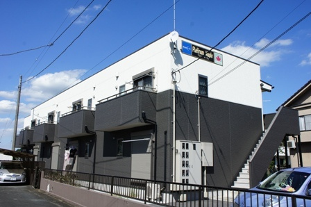 プラチナメープルの画像