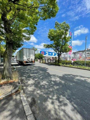 【周辺】 | サンハイム杉林