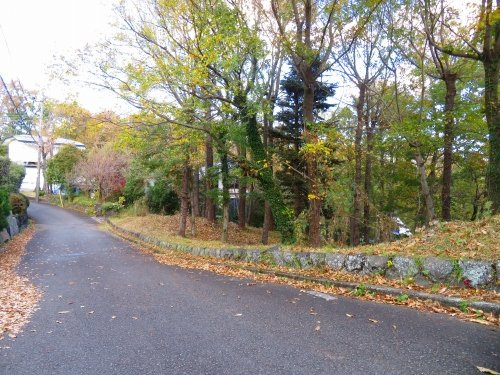 【外観】 | 伊豆急城ヶ崎地区　売地