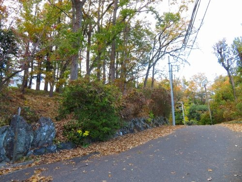 【外観】 | 伊豆急城ヶ崎地区　売地