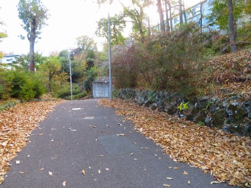 【外観】 | 伊豆急城ヶ崎地区　売地