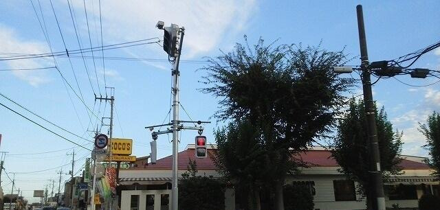 ピースパレスの展望|ココスまで900m 