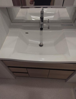 【独立洗面台】 | プレシス所沢元町