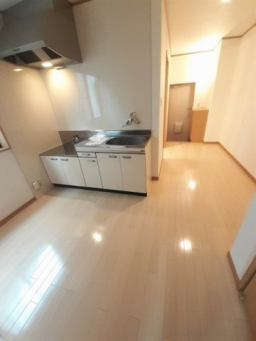 Ｎ－１ｓｔのその他