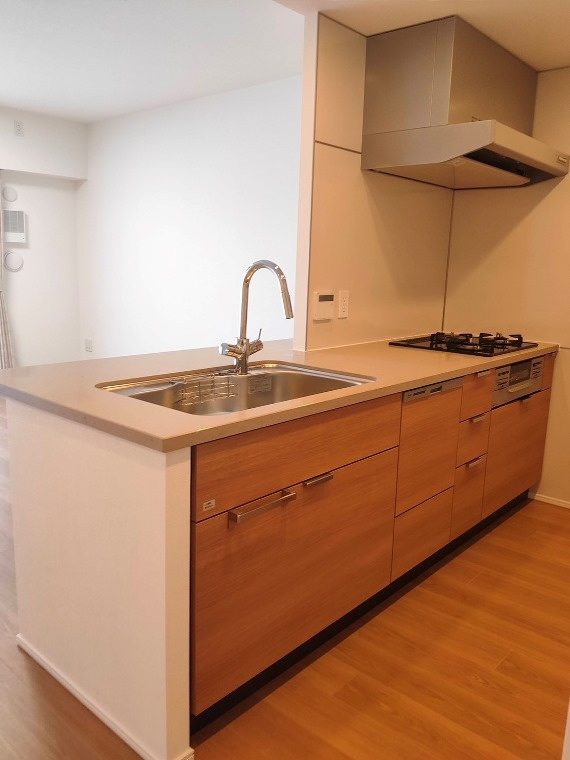 Ｂｒｉｌｌｉａ　Ｃｉｔｙ　西早稲田のキッチン