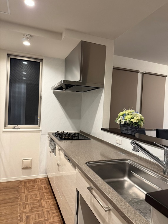 上鷺宮戸建のキッチン