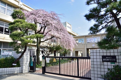 【周辺】 | 練馬区春日町1丁目　中古戸建【リフォーム済】　7199万円 | 練馬区立練馬東小学校