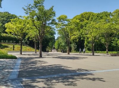 【周辺】 | 練馬区春日町1丁目　中古戸建【リフォーム済】　7199万円 | 東京都立練馬城址公園