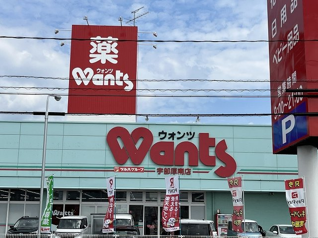 レオパレスティーエムⅡの周辺