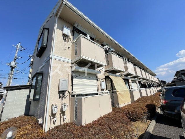 マリーゴールドA