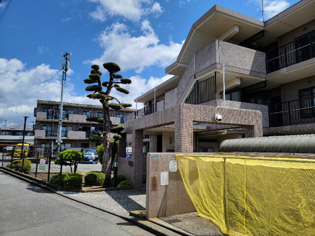 マローネの外観