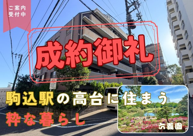 【成約済】マイキャッスル駒込パークヒルズの外観