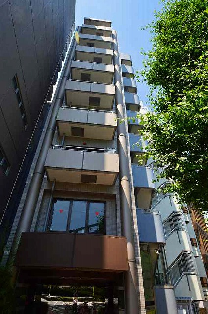 アトル真砂の画像