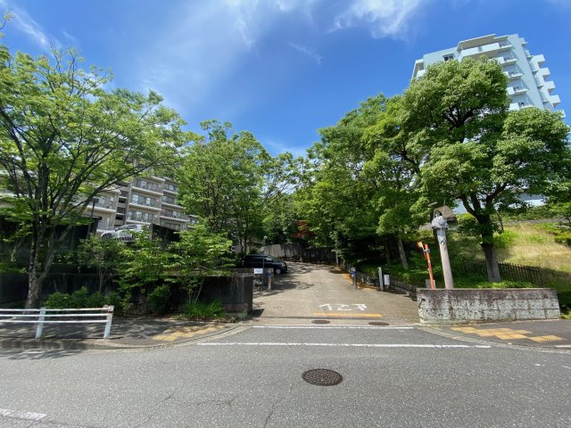 の-の画像