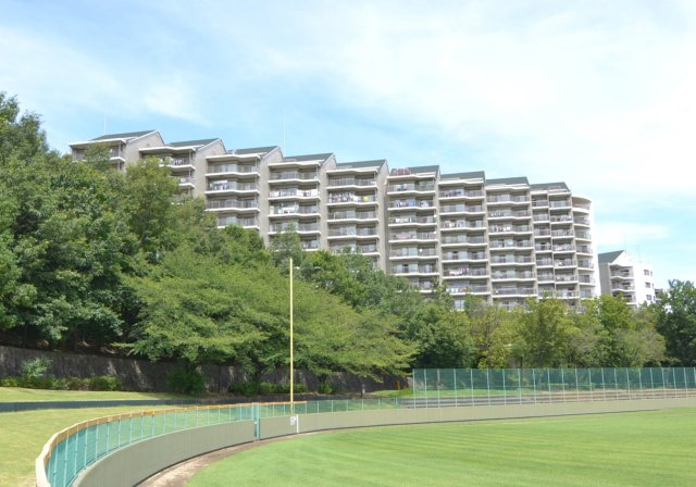 の-の画像