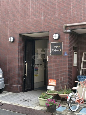 【エントランス】 | アクアフォレース | 落ち着いたエントランスです