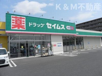 シャンドフルールⅡの周辺|セイムス柏豊四季店まで800m 