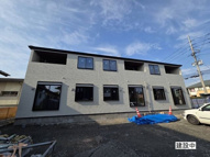 グレイスⅡの画像