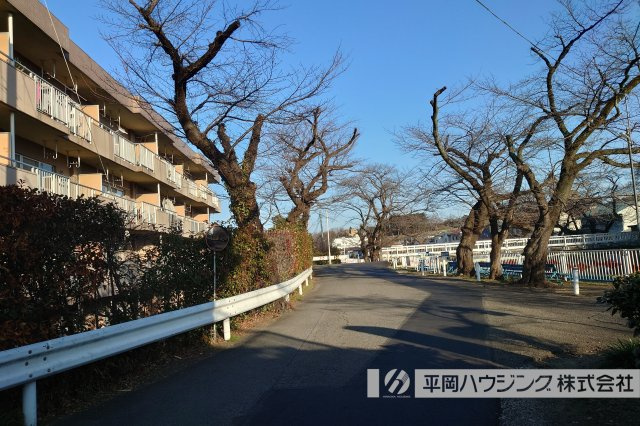 チェリーコートの周辺|南側前面の道路です。交通量は少なめ
