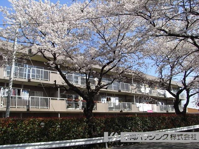 チェリーコートの外観|お部屋から満開の桜をご堪能ください