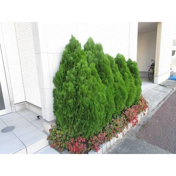 アルバーノ柴田Ferioのロビー