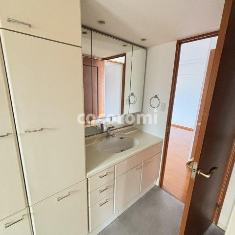 レスタージュ枚方長尾の洗面所